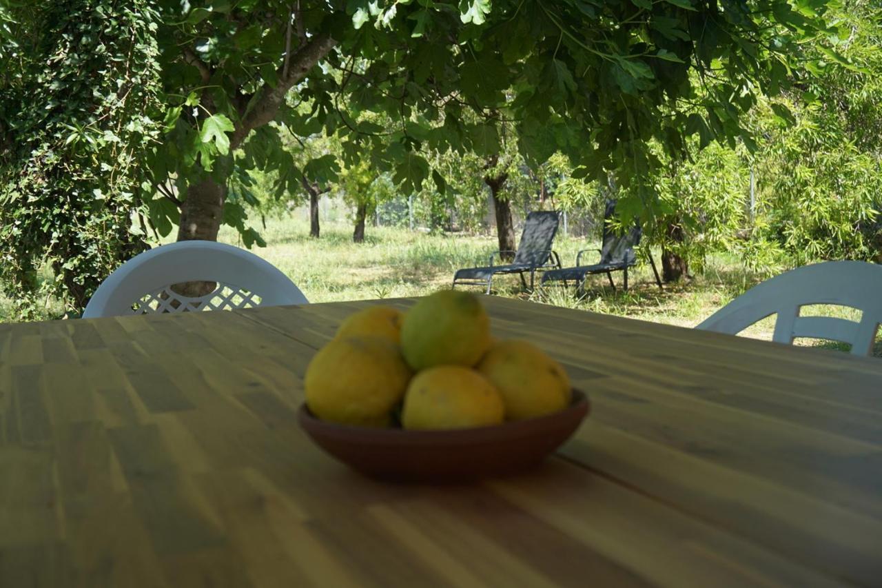 Hébergement de vacances Casa El Regall