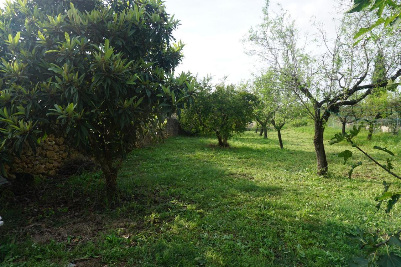 Casa El Regall *